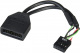 Kolink Adapter wewntrzny USB 3.0 19-pin (M) do USB 2.0 8-pin (F)